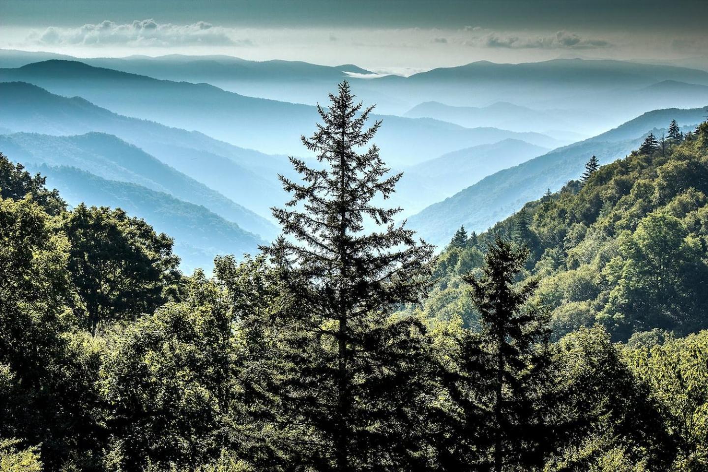 Views I Mins To Dollywood I Hot Tub I Pool Table Villa Sevierville Eksteriør bilde