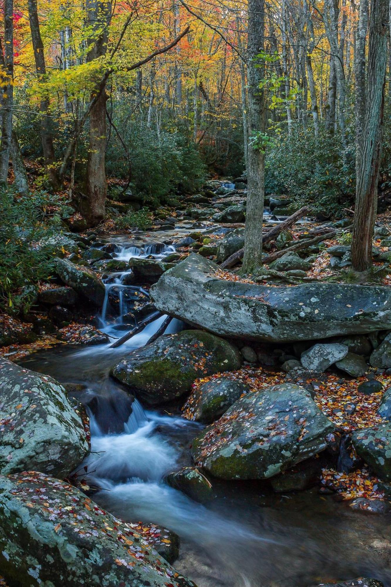 Views I Mins To Dollywood I Hot Tub I Pool Table Villa Sevierville Eksteriør bilde